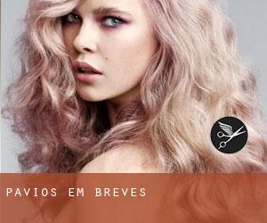 Pavios em Breves Pavios em Breves