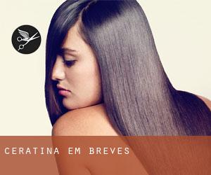 Ceratina em Breves Ceratina em Breves
