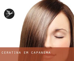 Ceratina em Capanema Ceratina em Capanema