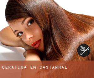 Ceratina em Castanhal Ceratina em Castanhal