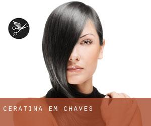 Ceratina em Chaves Ceratina em Chaves