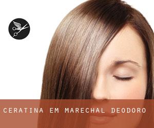 Ceratina em Marechal Deodoro Ceratina em Marechal Deodoro